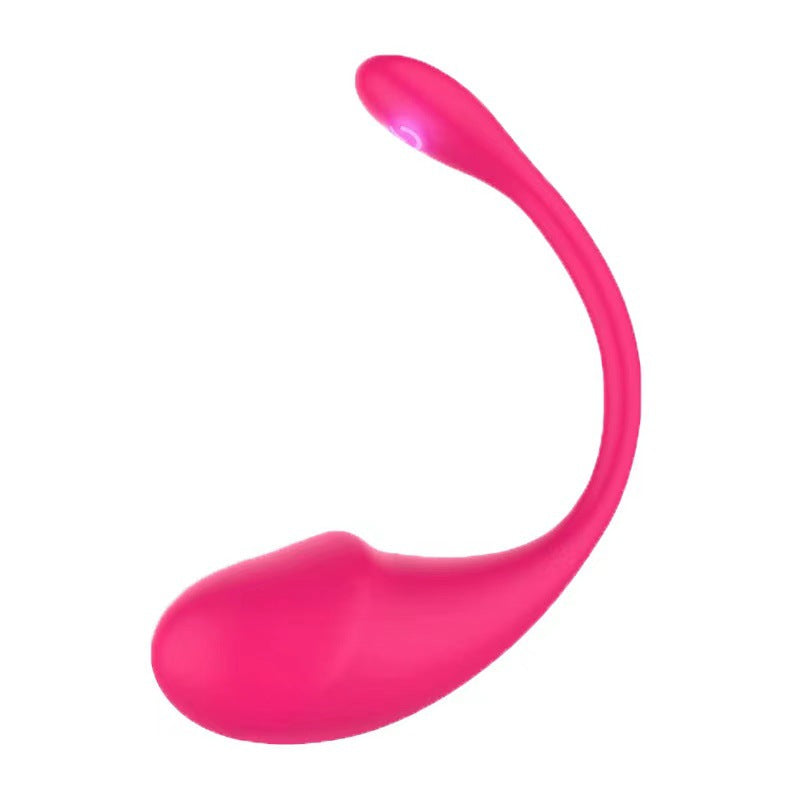 Bluetooth Love Egg Vibrator for Women