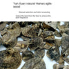 【Hainan, China】Low temperature extraction of agarwood essential oil Ultra pure highly extracted essential oil Long lasting fuming oil