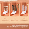 Shoes Dryer Machine Fast Dryer Heater Deodorizer Dehumidifier Device Foot Warmer Heater for Winter Uv Sterilization Shoes Drying